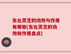 东北灵芝的功效与作用有哪些(东北灵芝的功效和作用盘点)