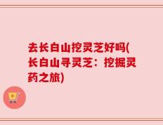 去长白山挖灵芝好吗(长白山寻灵芝：挖掘灵药之旅)