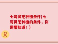 七哥灵芝种植条件(七哥灵芝种植的条件，你需要知道！)
