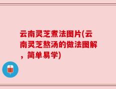 云南灵芝煮法图片(云南灵芝熬汤的做法图解，简单易学)