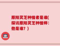 原阳灵芝种植者是谁(探访原阳灵芝种植师：他是谁？)