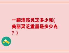 一颗漂亮灵芝多少克(美丽灵芝重量是多少克？)
