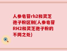 人参皂苷rh2和灵芝孢子粉区别(人参皂苷RH2和灵芝孢子粉的不同之处)