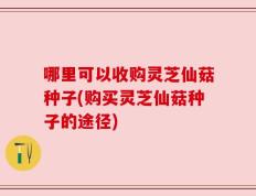 哪里可以收购灵芝仙菇种子(购买灵芝仙菇种子的途径)