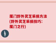 厦门野外灵芝采摘方法(野外灵芝采摘技巧：厦门之行)