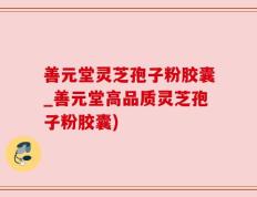 善元堂灵芝孢子粉胶囊_善元堂高品质灵芝孢子粉胶囊)