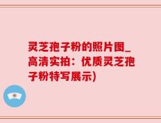灵芝孢子粉的照片图_高清实拍：优质灵芝孢子粉特写展示)