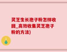灵芝生长孢子粉怎样收回_高效收集灵芝孢子粉的方法)