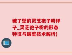 破了壁的灵芝孢子粉样子_灵芝孢子粉的形态特征与破壁技术解析)