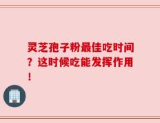 灵芝孢子粉最佳吃时间？这时候吃能发挥作用！