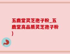 五鹿堂灵芝孢子粉_五鹿堂高品质灵芝孢子粉)