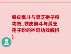 铁皮枫斗与灵芝孢子粉功效_铁皮枫斗与灵芝孢子粉的神奇功效解析)