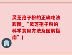 灵芝孢子粉的正确吃法彩图_“灵芝孢子粉的科学食用方法及图解指南”)