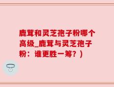 鹿茸和灵芝孢子粉哪个高级_鹿茸与灵芝孢子粉：谁更胜一筹？)