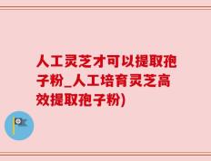 人工灵芝才可以提取孢子粉_人工培育灵芝高效提取孢子粉)