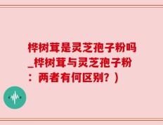 桦树茸是灵芝孢子粉吗_桦树茸与灵芝孢子粉：两者有何区别？)