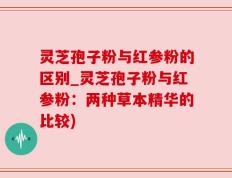 灵芝孢子粉与红参粉的区别_灵芝孢子粉与红参粉：两种草本精华的比较)