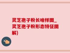 灵芝孢子粉长啥样图_灵芝孢子粉形态特征图解)