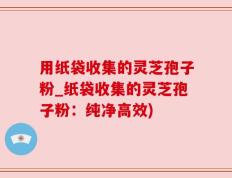 用纸袋收集的灵芝孢子粉_纸袋收集的灵芝孢子粉：纯净高效)
