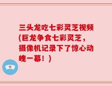 三头龙吃七彩灵芝视频(巨龙争食七彩灵芝，摄像机记录下了惊心动魄一幕！)
