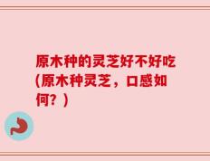 原木种的灵芝好不好吃(原木种灵芝，口感如何？)
