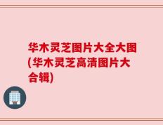 华木灵芝图片大全大图(华木灵芝高清图片大合辑)