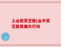 上山抓灵芝蟹(山中灵芝蟹抓捕大行动