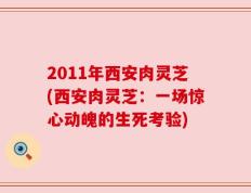 2011年西安肉灵芝(西安肉灵芝：一场惊心动魄的生死考验)