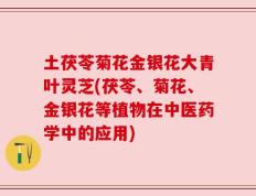 土茯苓菊花金银花大青叶灵芝(茯苓、菊花、金银花等植物在中医药学中的应用)