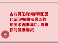 古石灵芝的讲解词汇是什么(讲解古石灵芝的相关术语和词汇，直击你的健康需求)