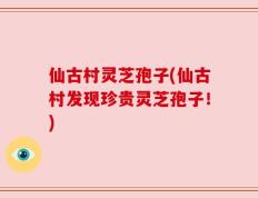 仙古村灵芝孢子(仙古村发现珍贵灵芝孢子！)