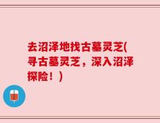 去沼泽地找古墓灵芝(寻古墓灵芝，深入沼泽探险！)
