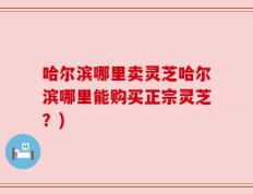 哈尔滨哪里卖灵芝哈尔滨哪里能购买正宗灵芝？)