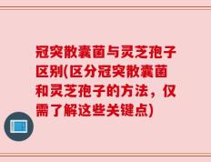 冠突散囊菌与灵芝孢子区别(区分冠突散囊菌和灵芝孢子的方法，仅需了解这些关键点)