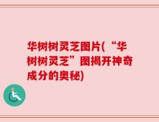 华树树灵芝图片(“华树树灵芝”图揭开神奇成分的奥秘)