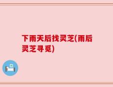 下雨天后找灵芝(雨后灵芝寻觅)