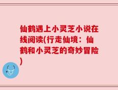 仙鹤遇上小灵芝小说在线阅读(行走仙境：仙鹤和小灵芝的奇妙冒险)