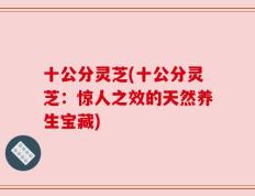 十公分灵芝(十公分灵芝：惊人之效的天然养生宝藏)