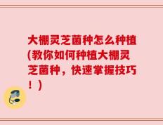大棚灵芝菌种怎么种植(教你如何种植大棚灵芝菌种，快速掌握技巧！)