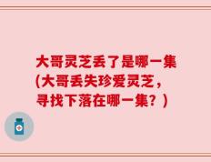 大哥灵芝丢了是哪一集(大哥丢失珍爱灵芝，寻找下落在哪一集？)
