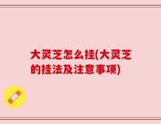大灵芝怎么挂(大灵芝的挂法及注意事项)