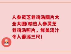 人参灵芝老鸡汤图片大全大图(精选人参灵芝老鸡汤照片，鲜美汤汁令人垂涎三尺)