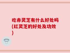 吃赤灵芝有什么好处吗(红灵芝的好处及功效)