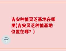 吉安种植灵芝基地在哪里(吉安灵芝种植基地位置在哪？)