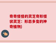 奇奇怪怪的灵芝奇形怪状灵芝：形态多变的神奇植物)
