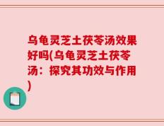乌龟灵芝土茯苓汤效果好吗(乌龟灵芝土茯苓汤：探究其功效与作用)