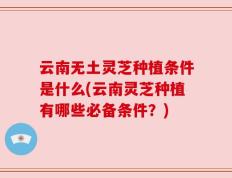云南无土灵芝种植条件是什么(云南灵芝种植有哪些必备条件？)