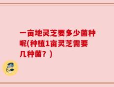 一亩地灵芝要多少菌种呢(种植1亩灵芝需要几种菌？)