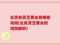 北芪和灵芝煮水有哪些功效(北芪灵芝煮水的功效解析)