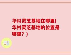 华村灵芝基地在哪里(华村灵芝基地的位置是哪里？)